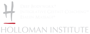 holloman institute logo banner